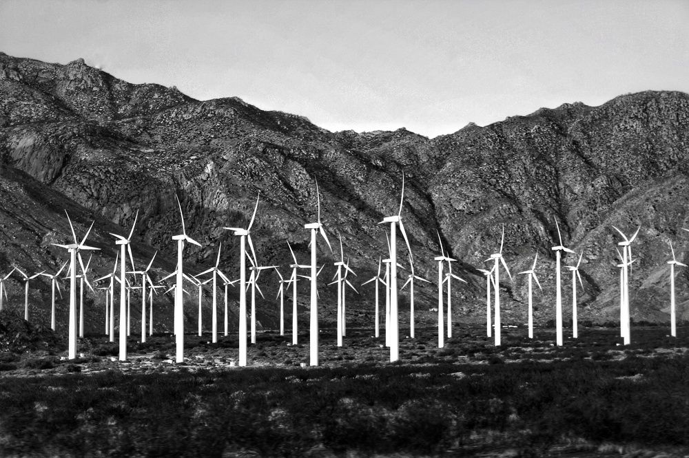 Photograph by Annette torres