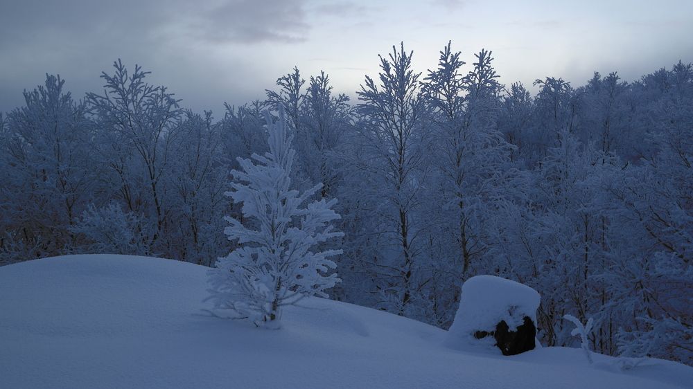 Гора Горелая. 27.11.2021.