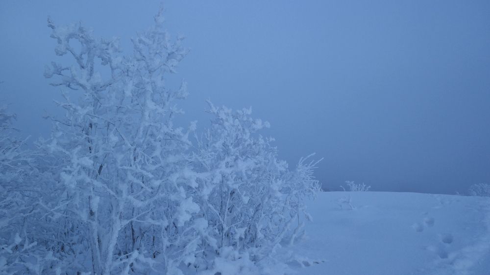 Гора Горелая. 27.11.2021.