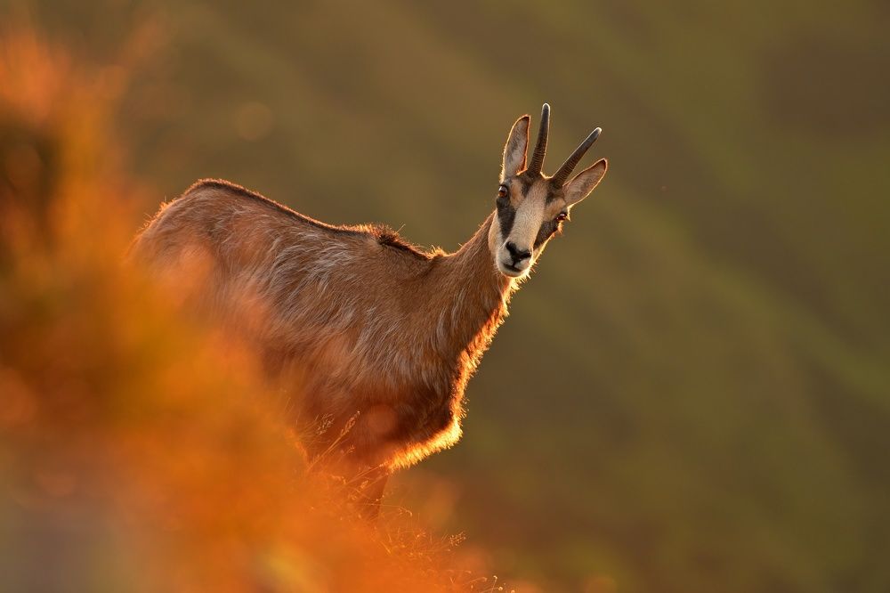 Photograph by Lubomir Novak