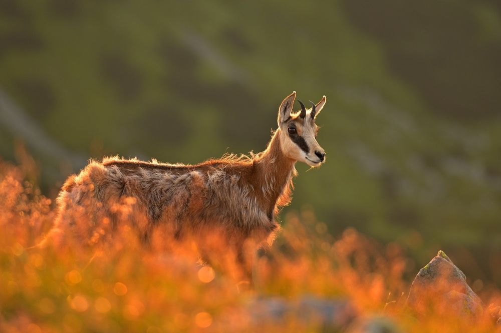 Photograph by Lubomir Novak