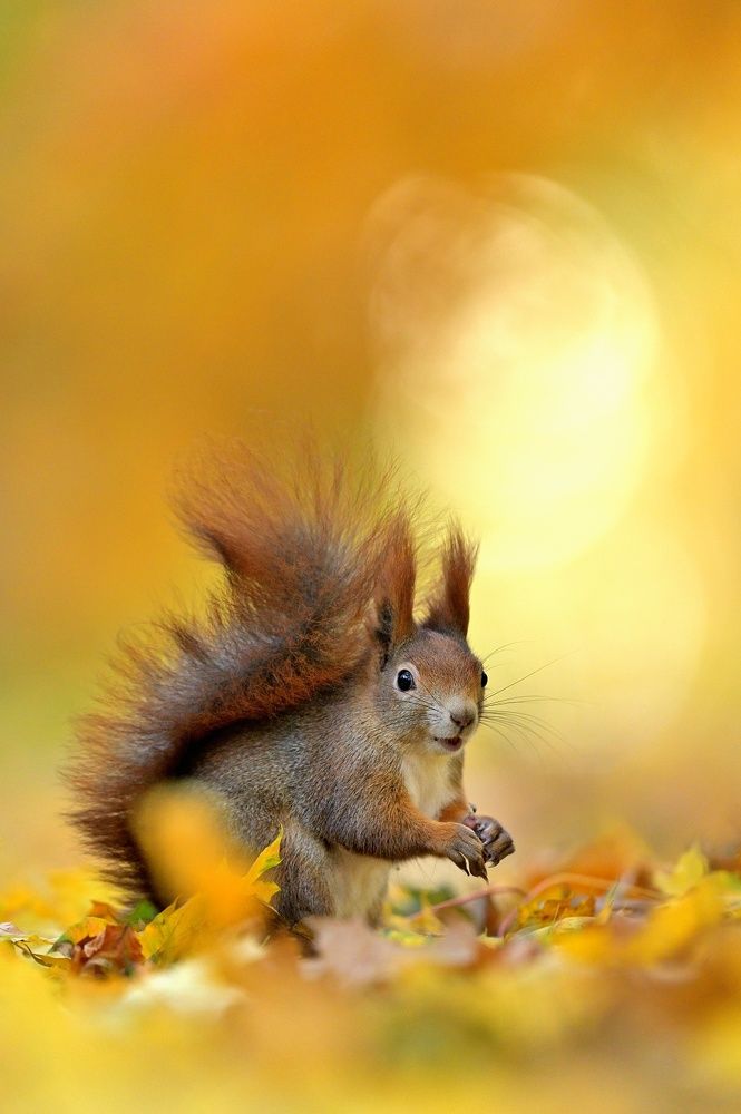 Photograph by Lubomir Novak