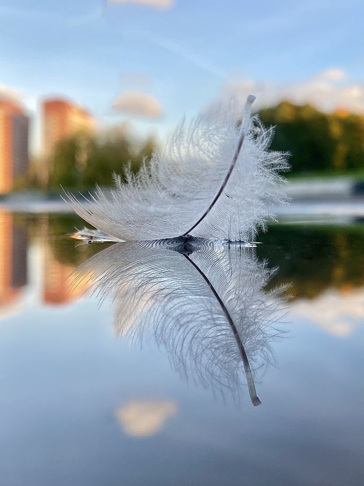 Photograph by Ива