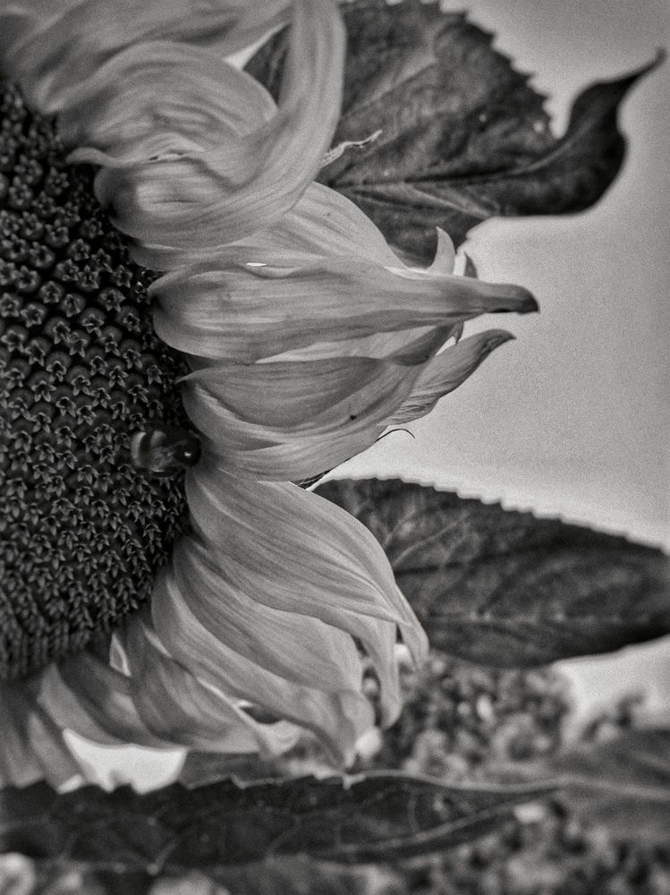 Photograph by Claudia Leticia