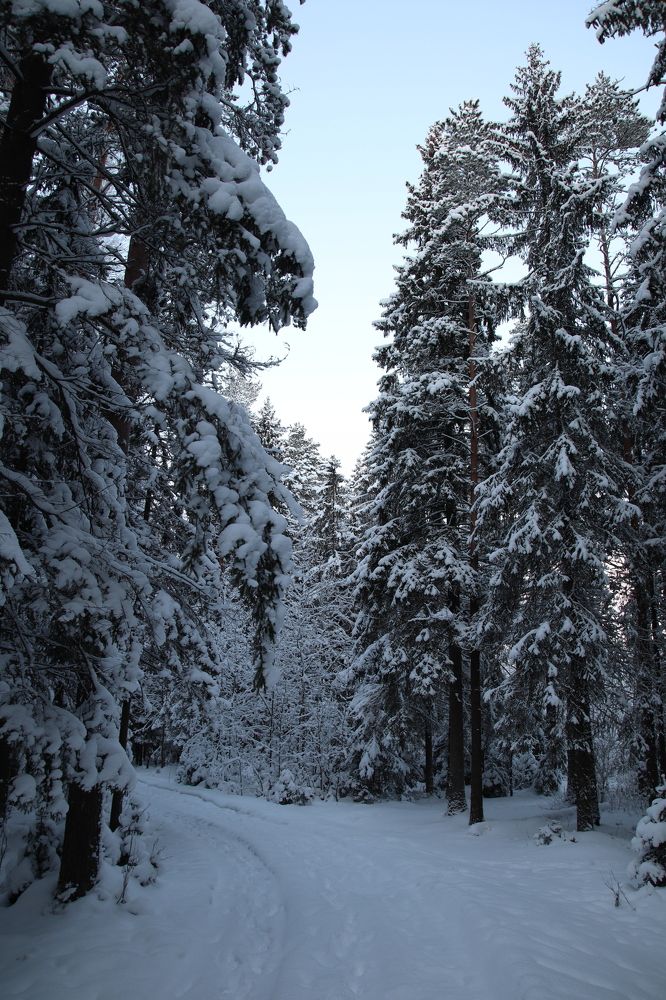 Photograph by Илья Бачурин