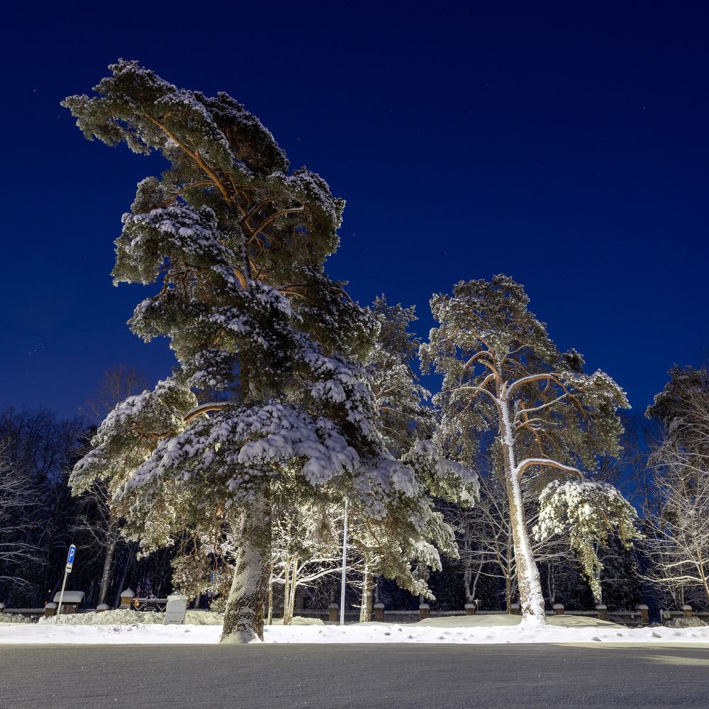 Photograph by Александр Клиновский