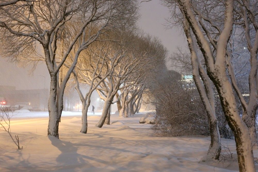 Опять метель..