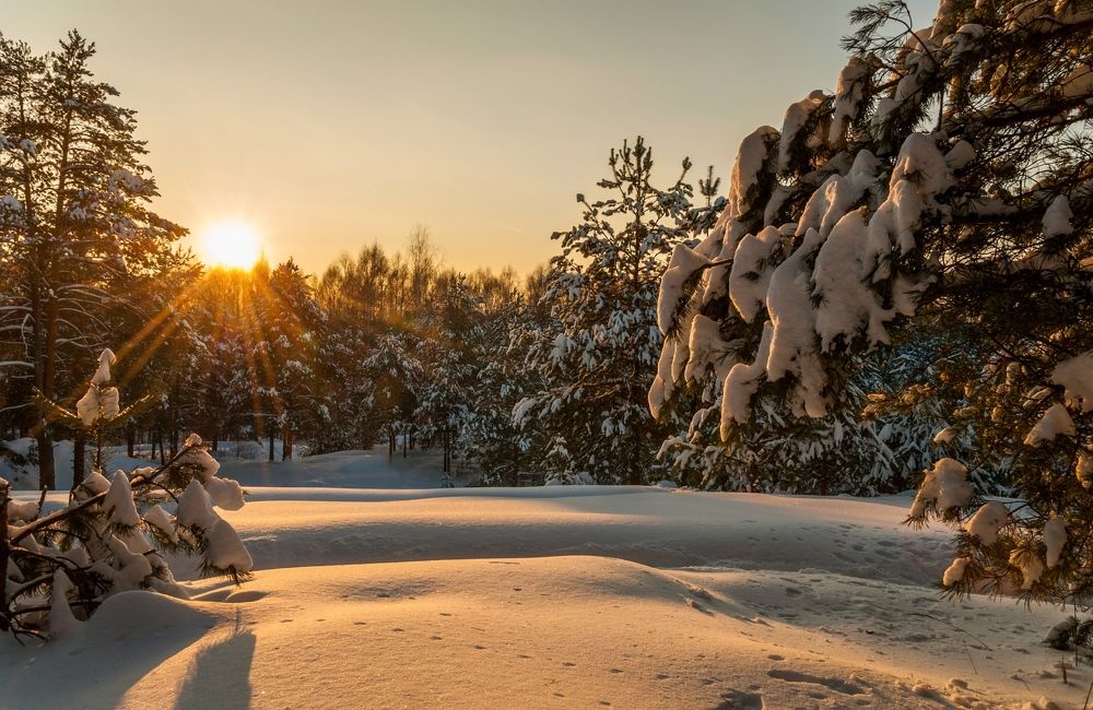 Photograph by Андрей Папанов