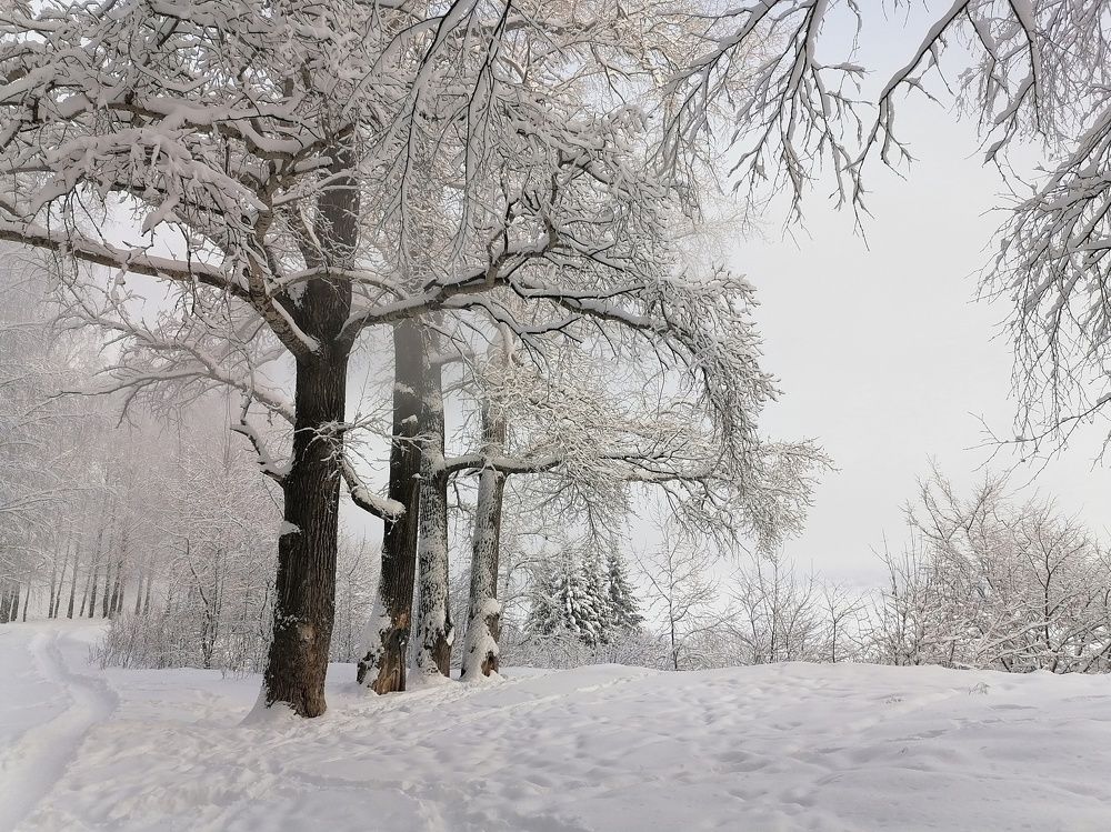 Photograph by Ольга