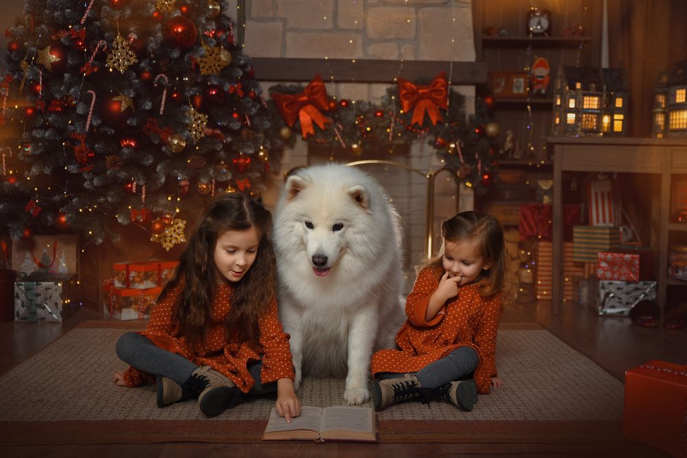 Photograph by Надежда Заручевская