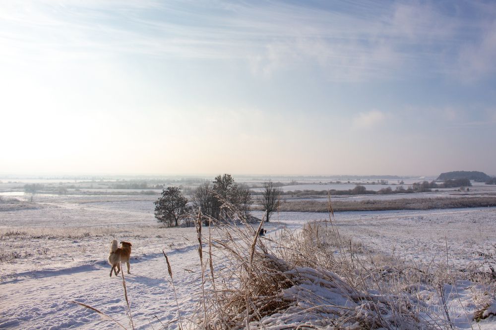 Photograph by Иван Полиненко