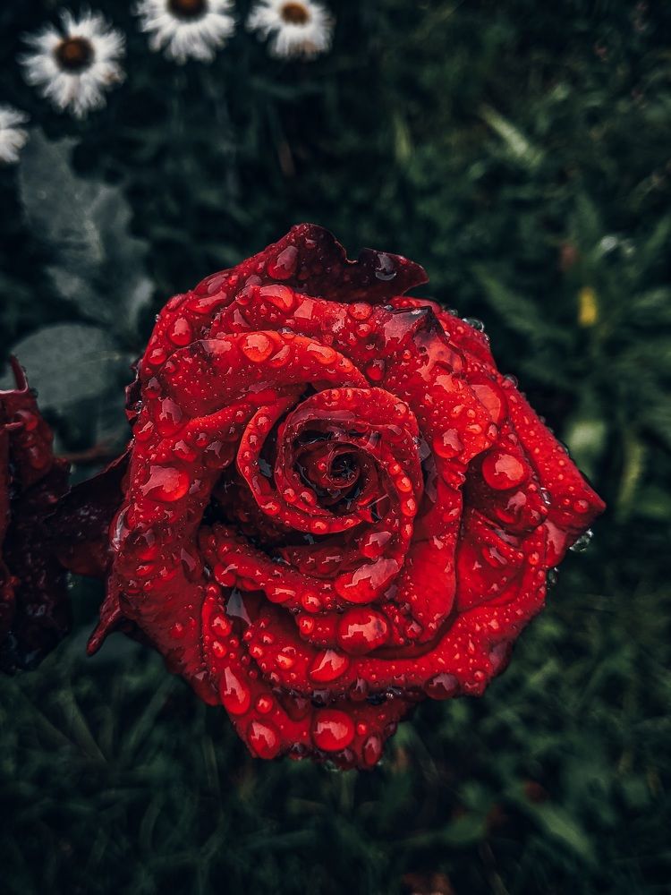 Photograph by Максим