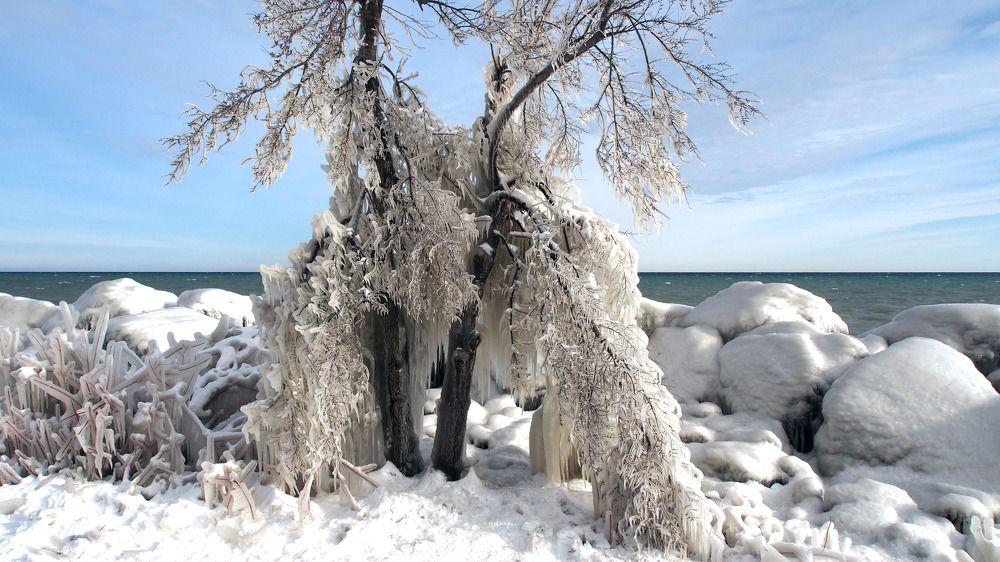 Photograph by Sergey Bykov