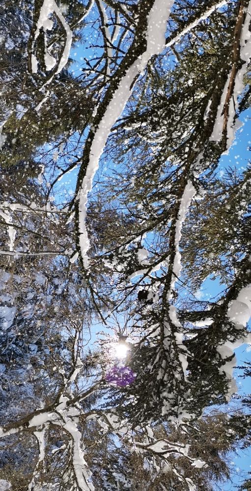 Photograph by Nihad dyani