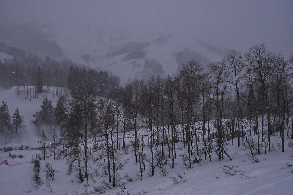 Photograph by Дана Жулдызбек