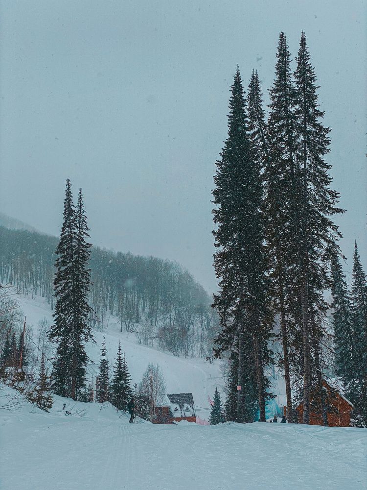 Photograph by Дана Жулдызбек