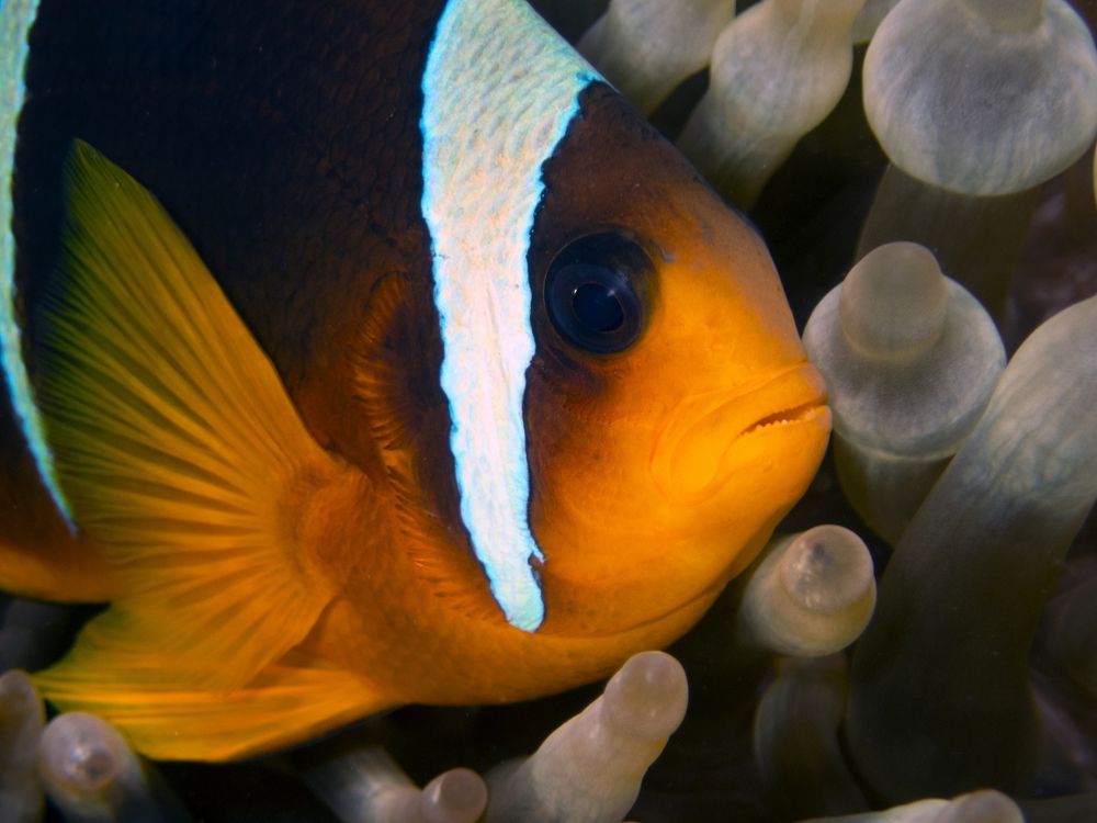 Photograph by Дмитрий Челноков