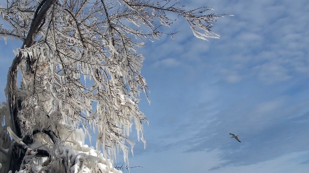 Photograph by Sergey Bykov