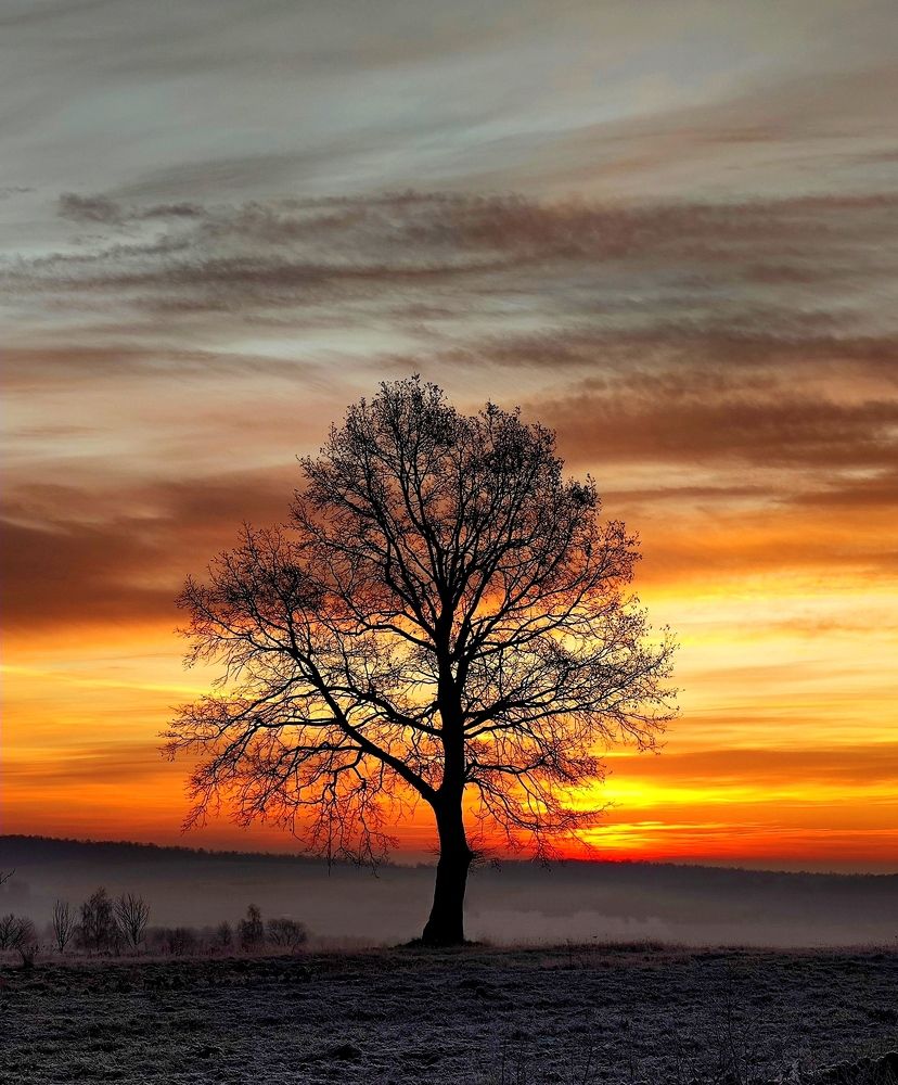 Photograph by Инна Макарчук