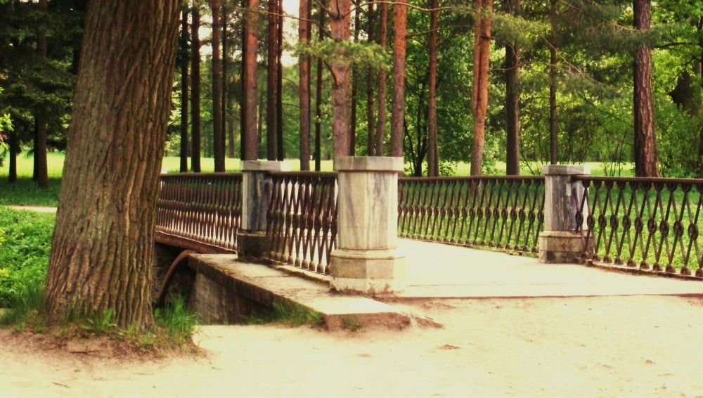 Photograph by Irina Mihailovskaya