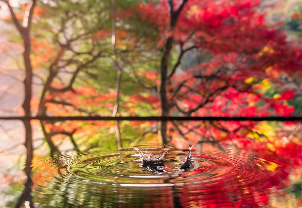 Photograph by Vu Quan