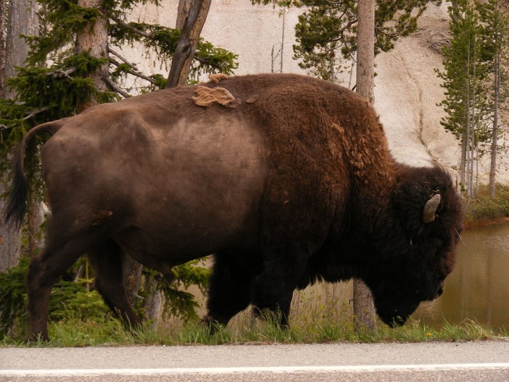 Photograph by Cheri Shelton