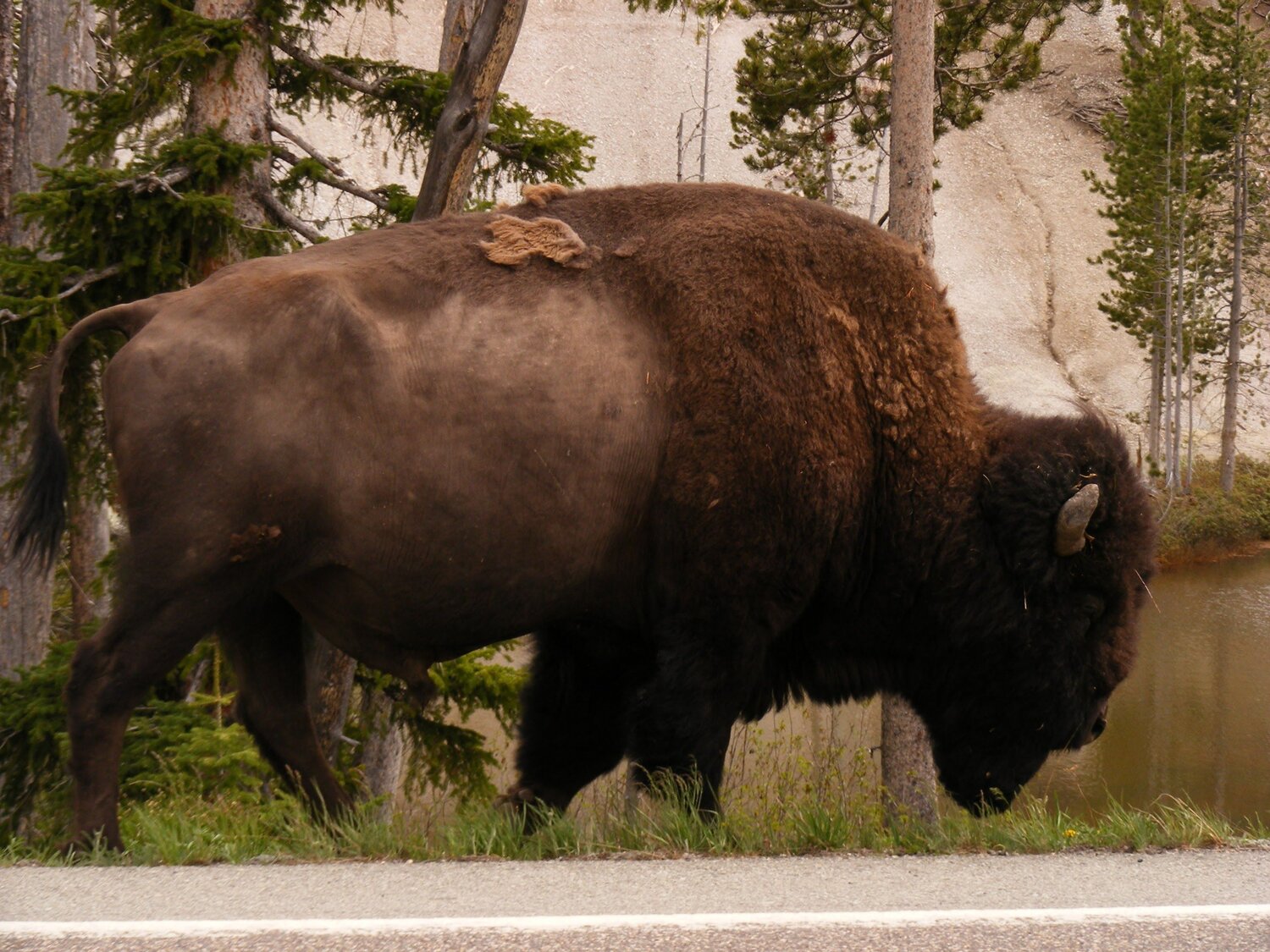 Photo #6914367