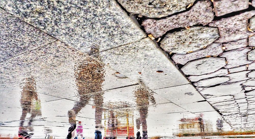 Фотография автора Gılcan Mete Delibay