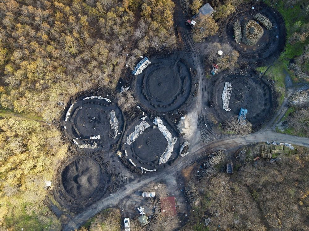 Фотография автора Gılcan Mete Delibay