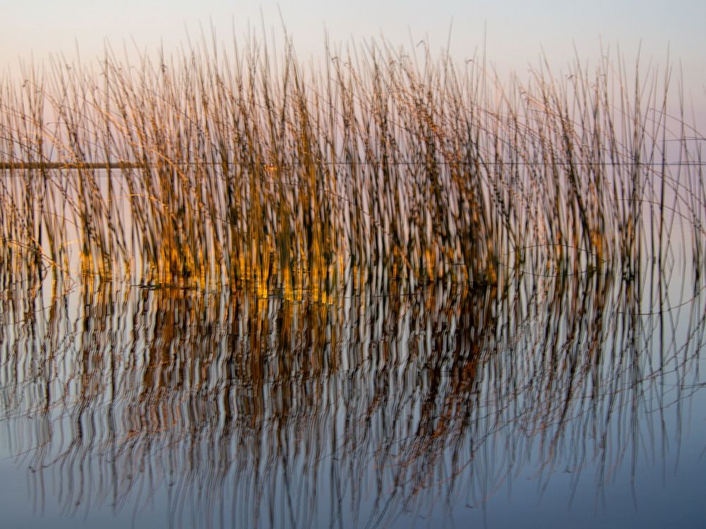 Photograph by Aldo Galante