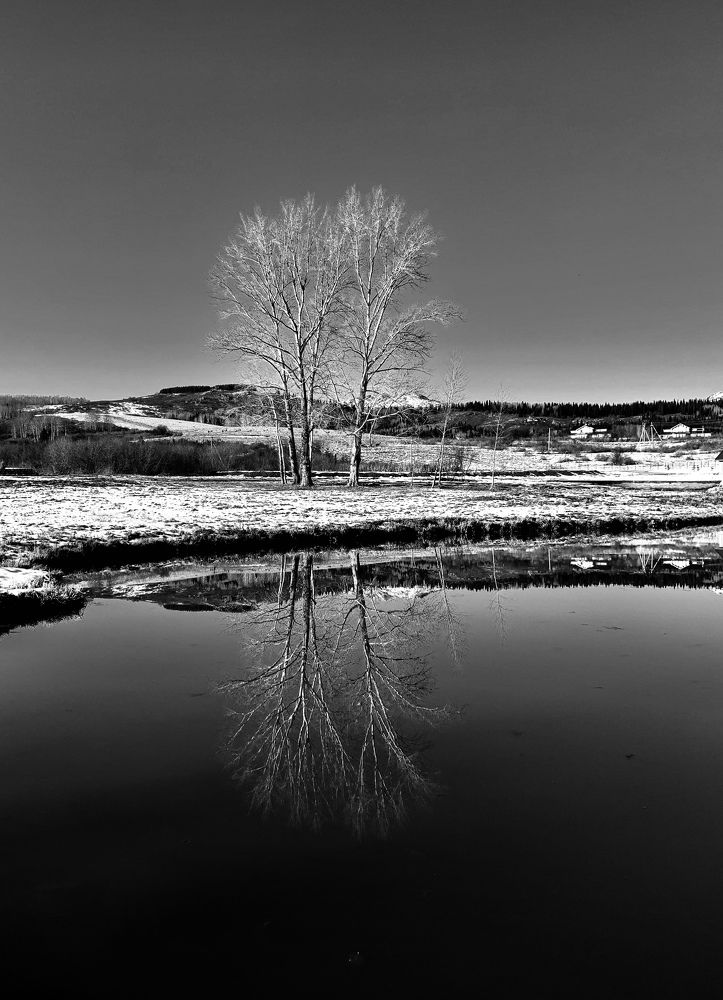 Фотография автора Елена