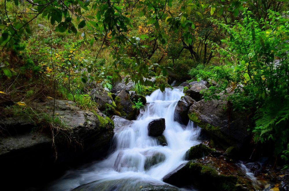 Photograph by Сергей Симаков