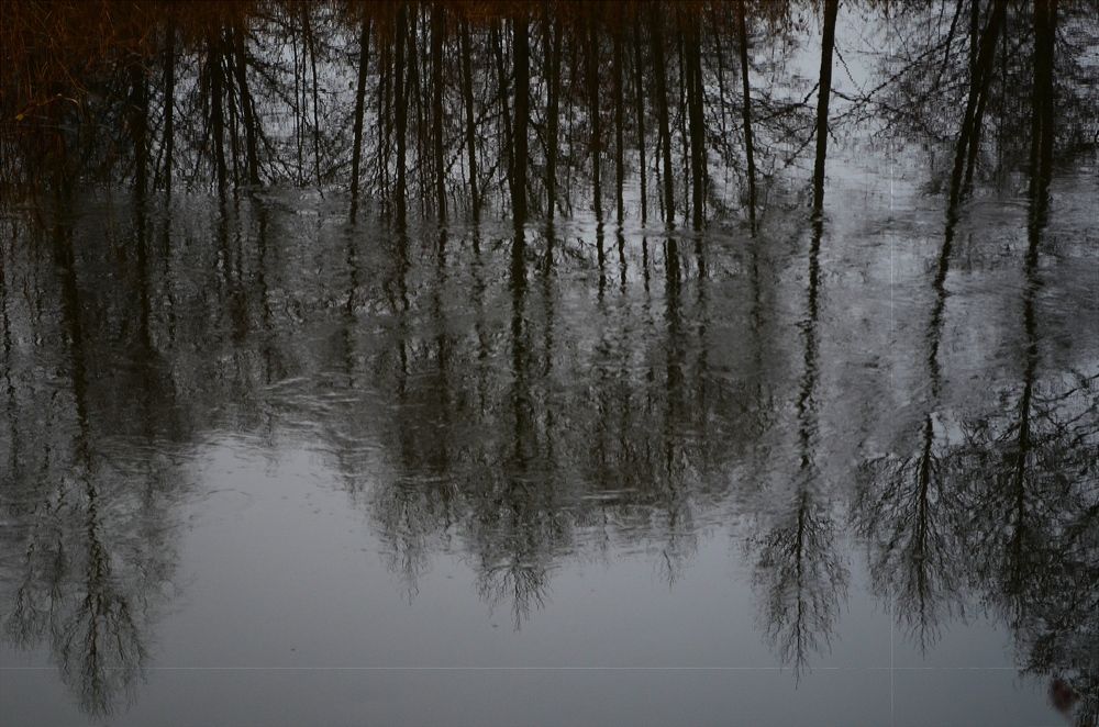 Photograph by Сергей Симаков