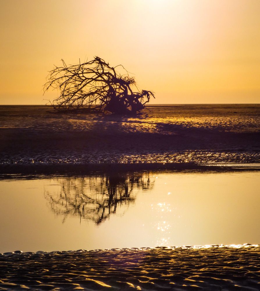 Фотография автора Michael Gault