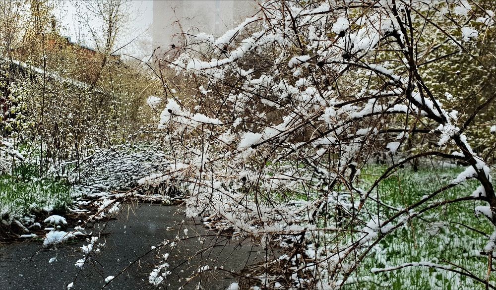 Photograph by Игорь