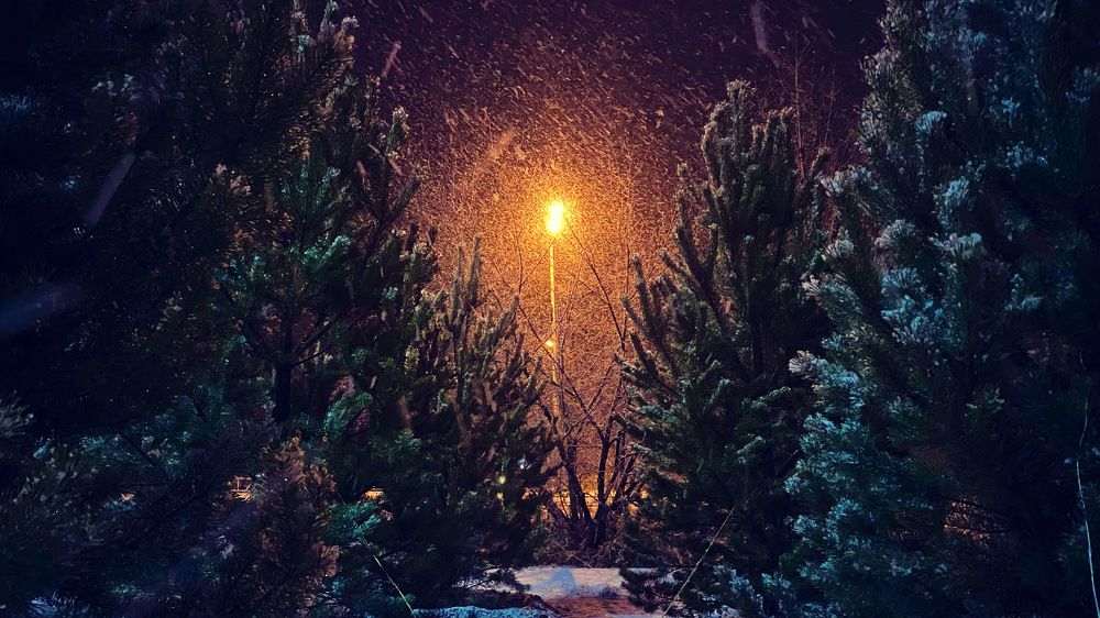 Photograph by Evgeniy Kuz’min