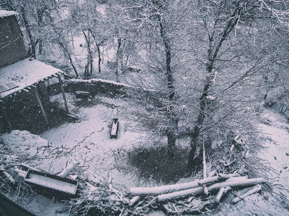 Photograph by Javad zavvar