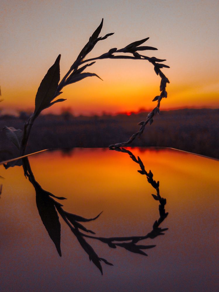 Falling in love with the Nature - A Mobile click !!