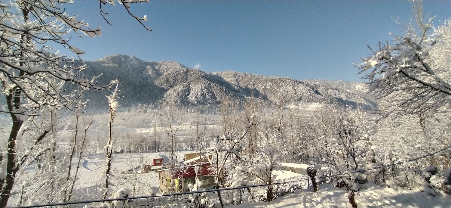 Photo #6914510