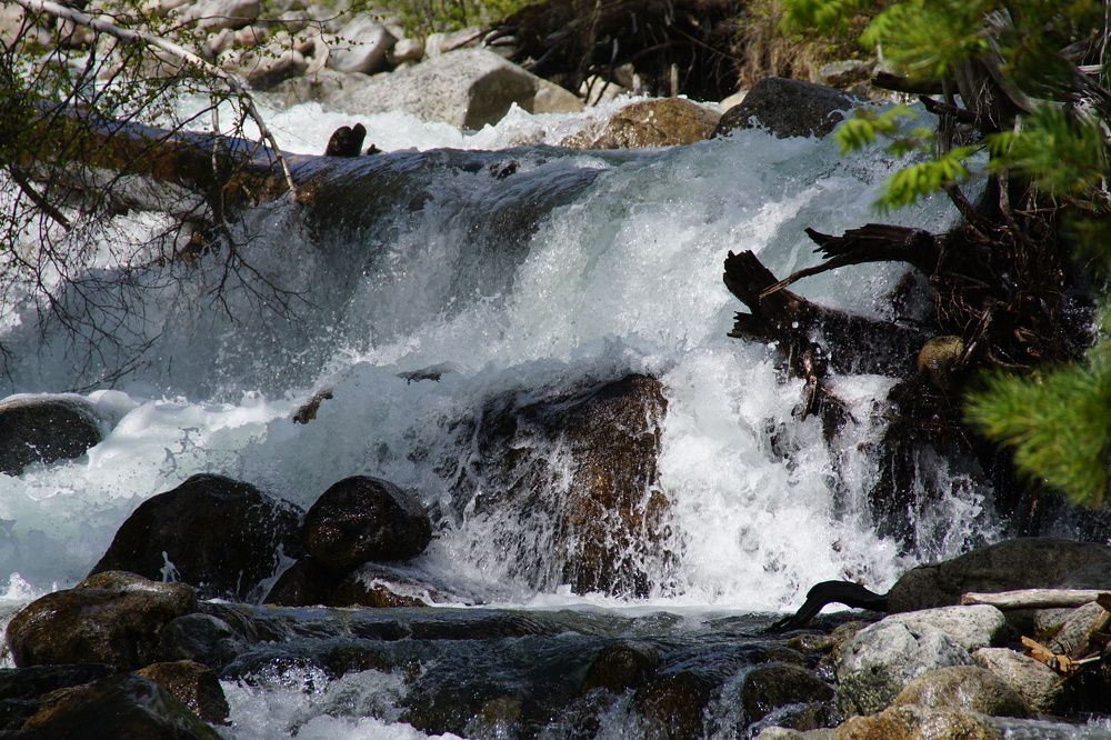 Photograph by фещук владимир