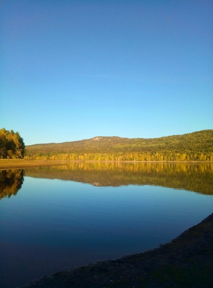 Photo #6914544