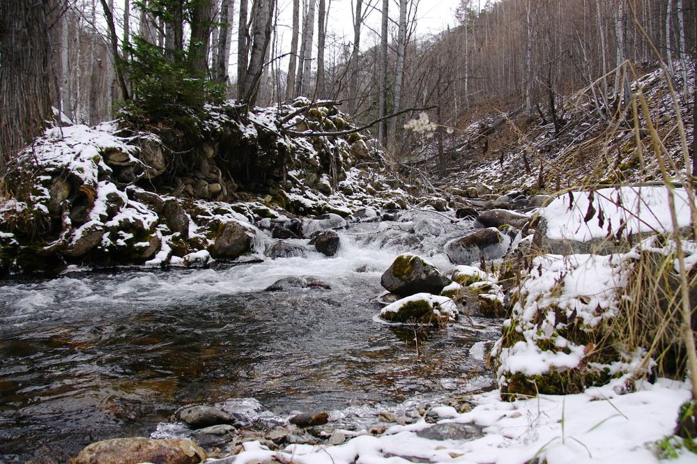 Photograph by фещук владимир