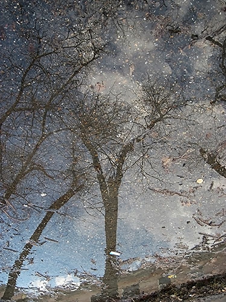Photograph by Ольга Баринкова