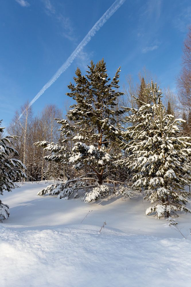 Photograph by Евгений Вяткин