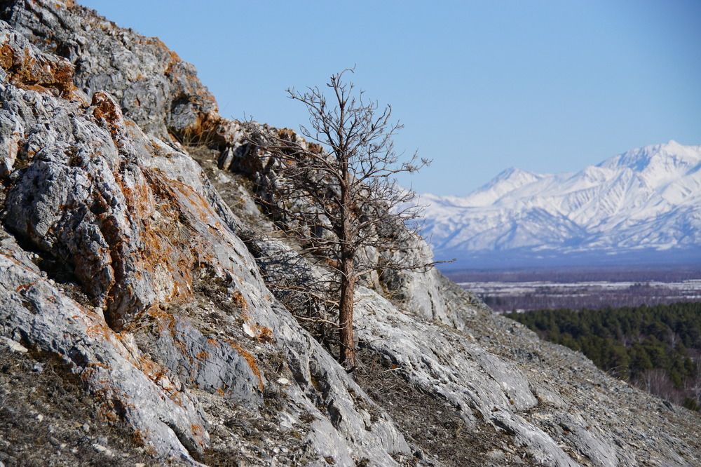 Photograph by фещук владимир
