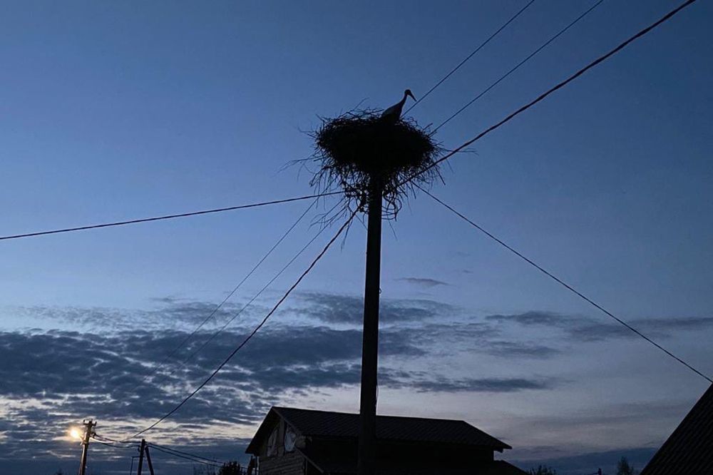 Photograph by Елена Маринина