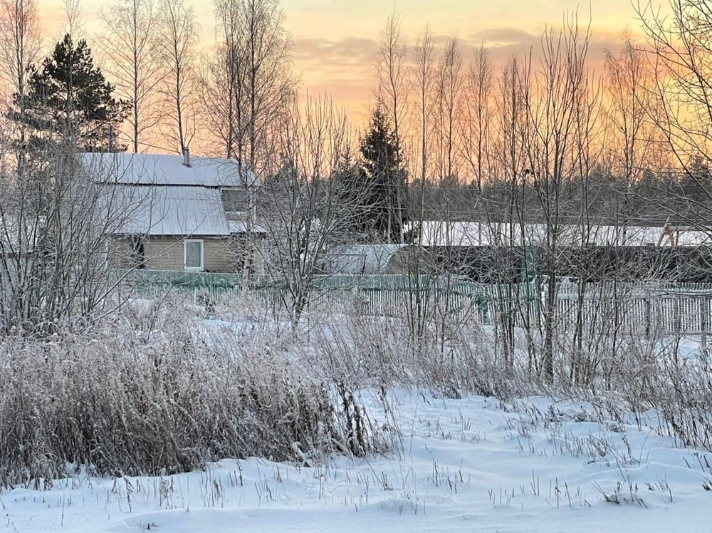 Деревенская жизнь