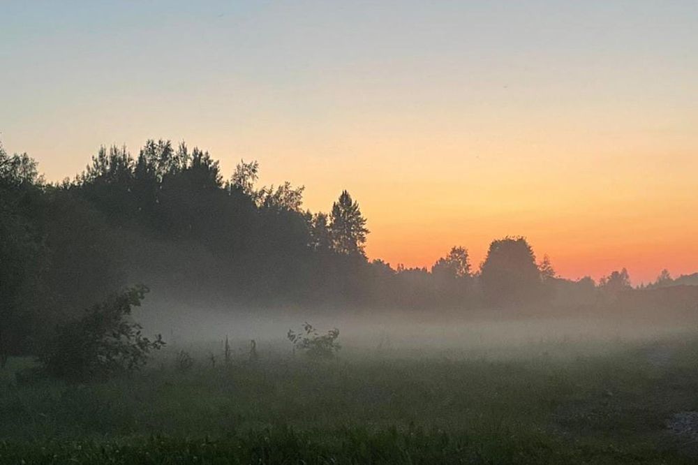 Photograph by Елена Маринина