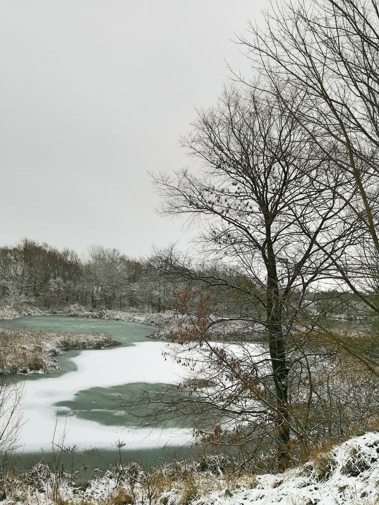 Фотография автора Ratsam