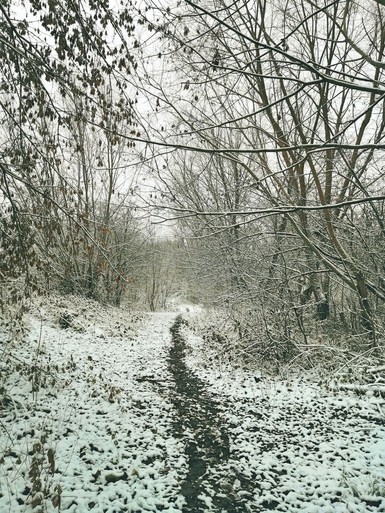 Фотография автора Ratsam